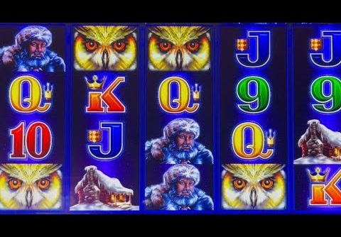 PLAYING AROUND & LANDED BIG WIN 😂 #casino #slot #win #tiktok #slotman #download #timberwolf