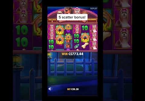 #slot #casino #slots #megawin #casinowin #roulette #casinoslot