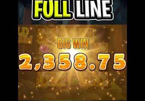 WILD SWARM SLOT 🔥 MAX BET MEGA BIG WIN 🤑 BONUS WITH THE FULL LINE OF WILDS‼️ #shorts