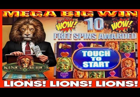 **MEGA BIG WIN!!!** LIONS! LIONS! LIONS! King of Africa Slot Machine Bonus