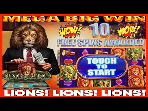 **MEGA BIG WIN!!!** LIONS! LIONS! LIONS! King of Africa Slot Machine Bonus