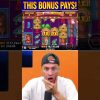 THIS DOG HOUSE MEGAWAYS BONUS PAYS MASSIVE!!! #slot #casino #bigwin