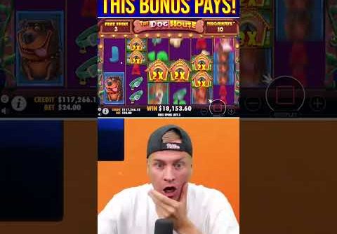 THIS DOG HOUSE MEGAWAYS BONUS PAYS MASSIVE!!! #slot #casino #bigwin