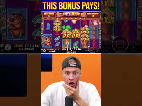 THIS DOG HOUSE MEGAWAYS BONUS PAYS MASSIVE!!! #slot #casino #bigwin