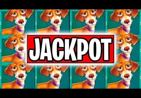 OMG 2 JACKPOT SLOT WINS BACK TO BACK‼️🤑🎁