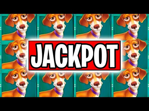 OMG 2 JACKPOT SLOT WINS BACK TO BACK‼️🤑🎁