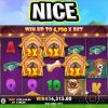 WAIT FOR THE MEGA BIG WIN 🤑 THE DOG HOUSE SLOT €100 MAX BET‼️ #shorts