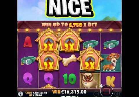 WAIT FOR THE MEGA BIG WIN 🤑 THE DOG HOUSE SLOT €100 MAX BET‼️ #shorts