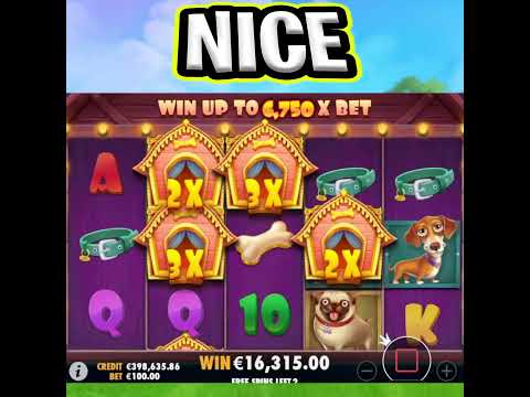 WAIT FOR THE MEGA BIG WIN 🤑 THE DOG HOUSE SLOT €100 MAX BET‼️ #shorts