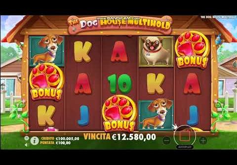 The Dog House Megaways Multihold slots pragmatic play