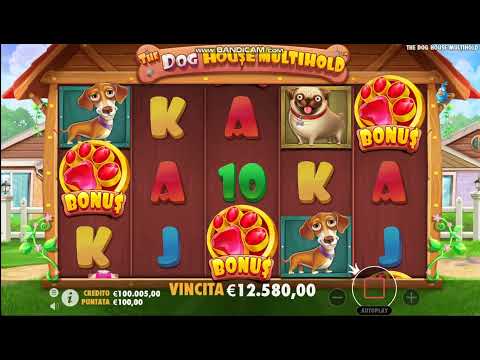 The Dog House Megaways Multihold slots pragmatic play