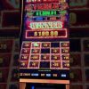 BUFFALO LINK BIG WIN BONUS #slots #casino #shorts