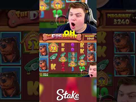 SENSATIONAL $100,000 WIN On THE DOG HOUSE!!.. (BONUS BUYS) #slots #casino #thedoghouse shorts