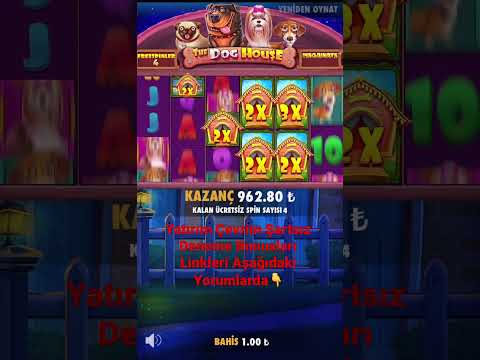 Küçük Bet Mükemmel Ödeme Karabaş Show 🔥🔥⚡️ | The Dog House Megaways | #slot #bigwin #thedoghouse