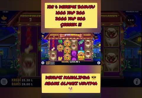 Dog House Megaways ~ Son Şansda Geri Dönüş !!! #doghousemegaways #doghouse #bigwin #slot