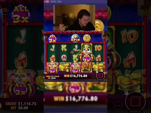 WORLD RECORD WIN FAT PANDA SLOT!