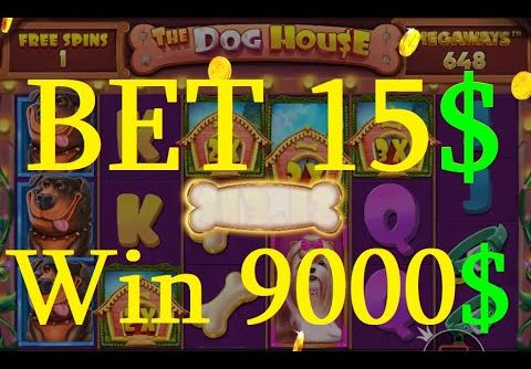 The Dog House Megaways Big Winning ! Slot Dog House Megaways Big Winning !