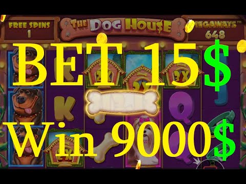 The Dog House Megaways Big Winning ! Slot Dog House Megaways Big Winning !