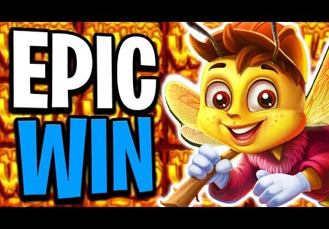 WINNING BIG 😵 NEW 3 BUZZING WILD SLOT 🐝 MAX BET BONUS‼️