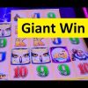 Huge Win on TimberWolf Grand Slot!! Aristocrat