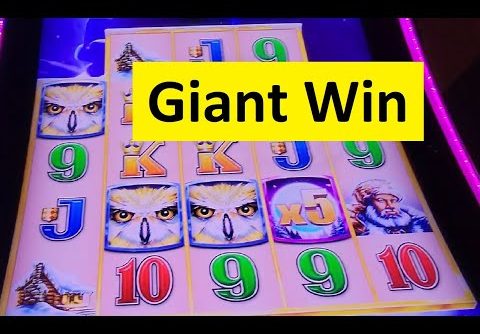 Huge Win on TimberWolf Grand Slot!! Aristocrat