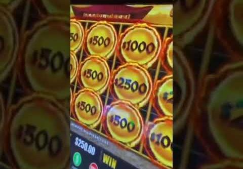 She won over 1 MILLION Dollar | Grand Jackpot | NG Slots | Lady Luck HQ | Lightning Link #shorts