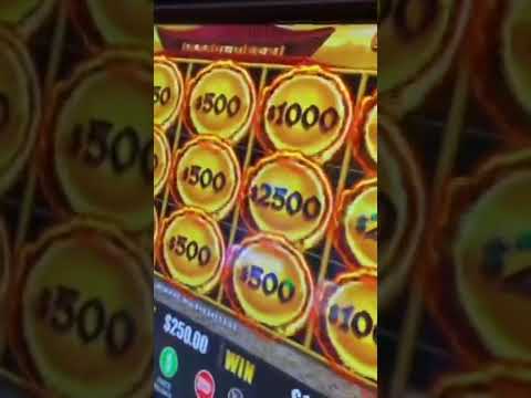 She won over 1 MILLION Dollar | Grand Jackpot | NG Slots | Lady Luck HQ | Lightning Link #shorts