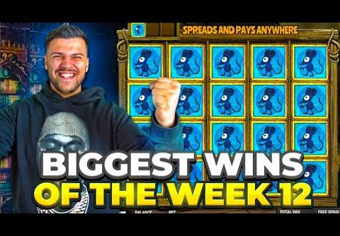 FULL SCREEN BEST SYMBOL!! Our Biggest Wins From Week 12 WERE CRAZY!!