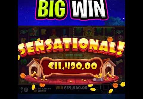 THE DOG HOUSE MULTIHOLD SLOT 🔥 MEGA BIG WIN €100 MAX BET 😵 MAX LEVEL OMG‼️ #shorts