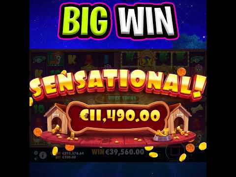 THE DOG HOUSE MULTIHOLD SLOT 🔥 MEGA BIG WIN €100 MAX BET 😵 MAX LEVEL OMG‼️ #shorts