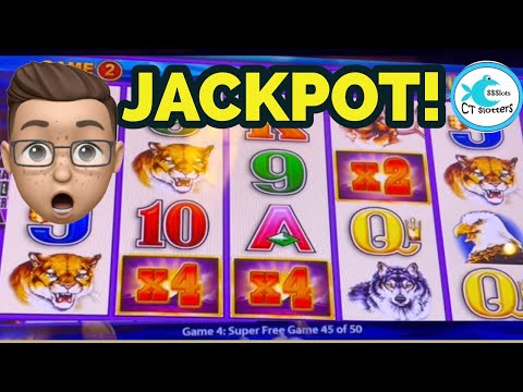 MY FIRST WONDER 4 JACKPOT HANDPAY! 🤩HUGE MULTIPLIERS ON BUFFALO DELUXE SUPER FREE GAMES!