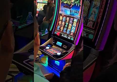 Man wins a jackpot 🍀🎰🐉🐲💥 #casino