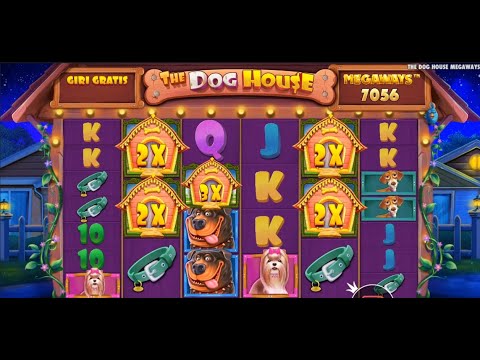 MIX BIG WIN ,MEGA WIN ,SENSATINAL WIN ,THE DOG HOUSE MEGAWAYS SLOTS PRAGMATIC