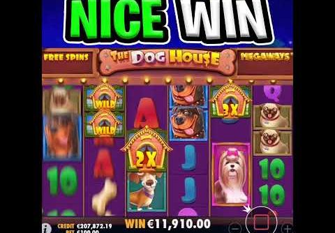 THE DOG HOUSE MEGAWAYS SLOT 🔥 MAX BET 🤑 EPIC BIG WIN STICKY WILD BONUS‼️ #shorts