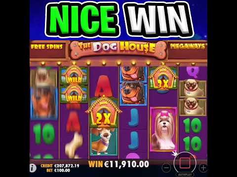 THE DOG HOUSE MEGAWAYS SLOT 🔥 MAX BET 🤑 EPIC BIG WIN STICKY WILD BONUS‼️ #shorts