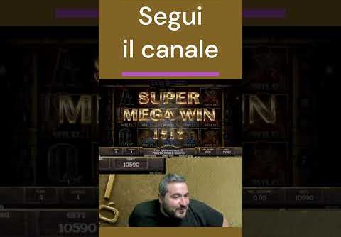 Doppia wild line! Scassata la Dead or Alive! #shorts #casino #slot #bigwin #casinoonline #epic #win