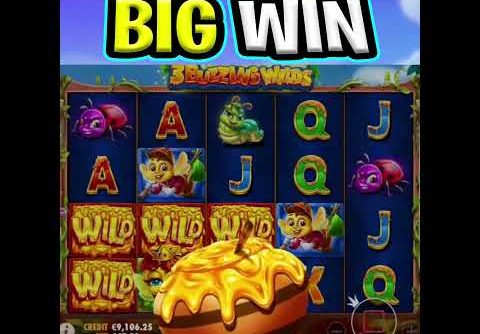 3 BUZZING WILDS SLOT 🔥 EPIC BIG WIN FREE SPIN BONUS‼️ #shorts