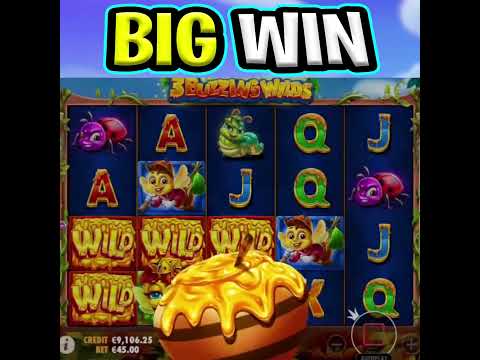 3 BUZZING WILDS SLOT 🔥 EPIC BIG WIN FREE SPIN BONUS‼️ #shorts