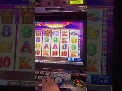 Tiki talk big win slot