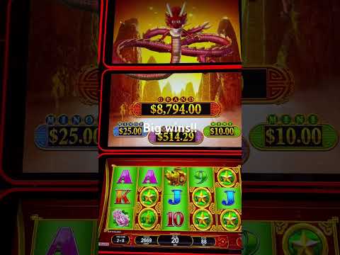 House of Dragons slot win #slots #big win #casino #slots #dragon